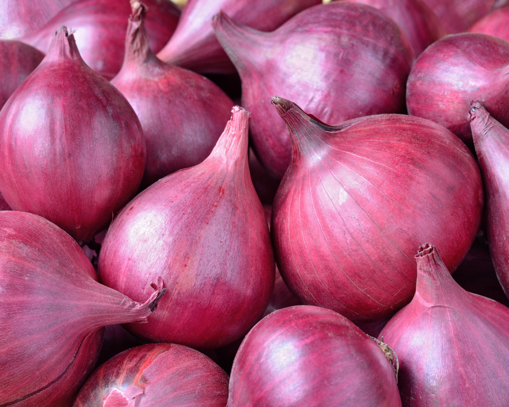 Pink Onion
